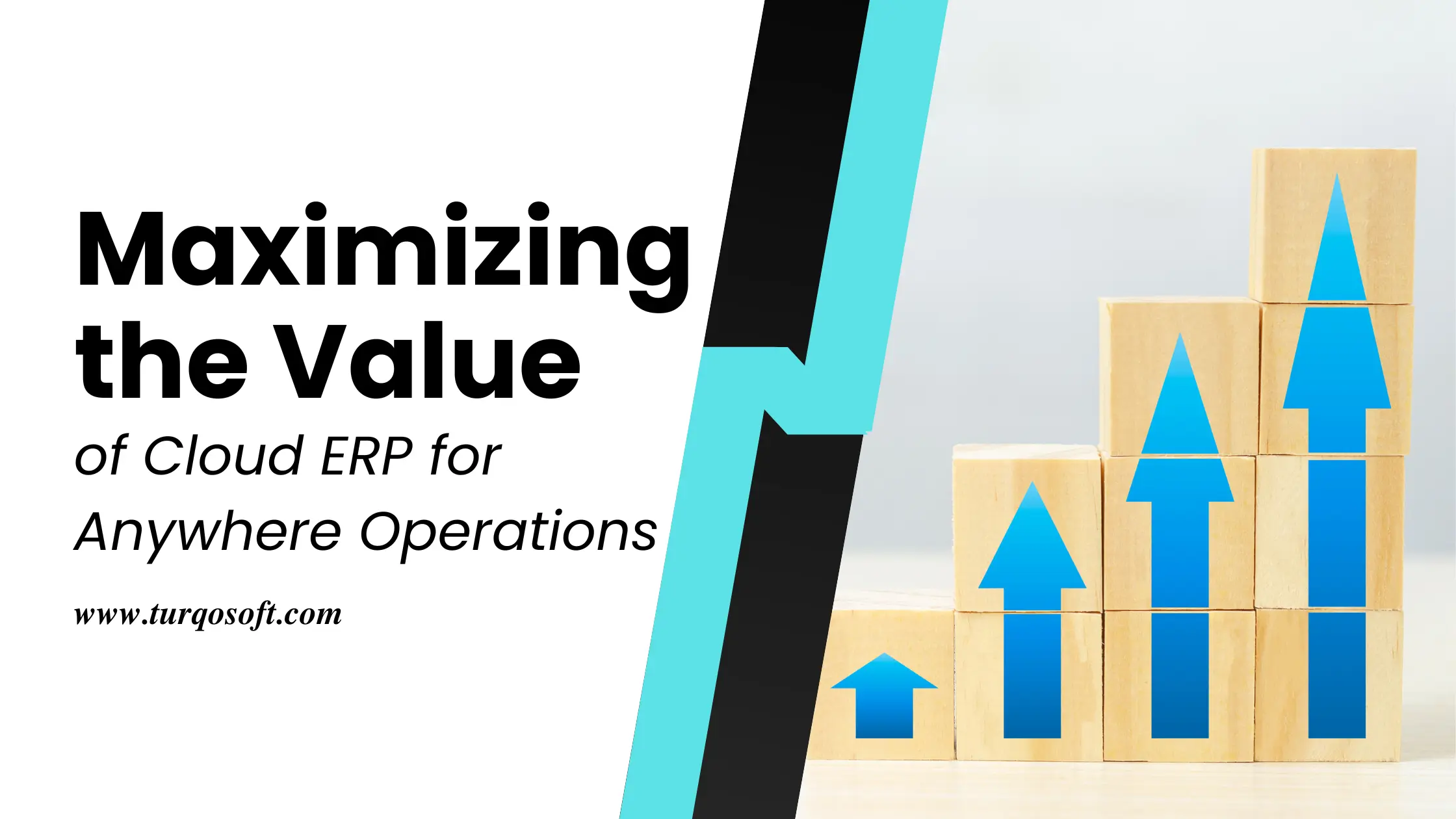 Maximizing the Value of Cloud ERP for Anywhere Operations