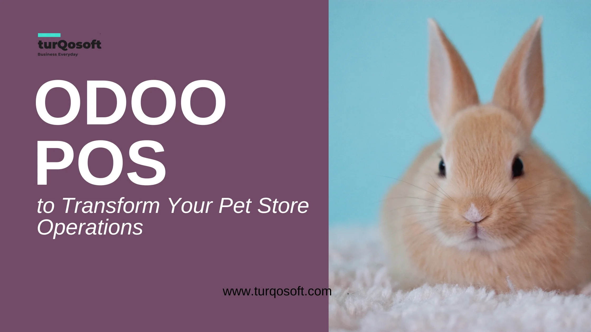 Odoo POS App for Pet Stores: Revolutionizing Pet Retail Management