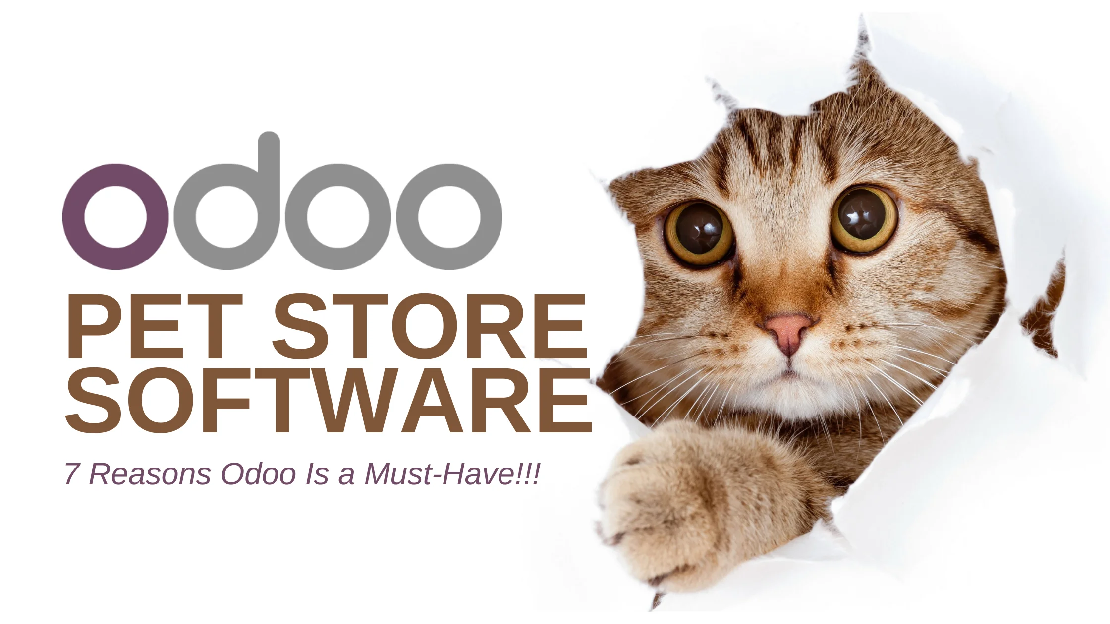 Odoo pet store software